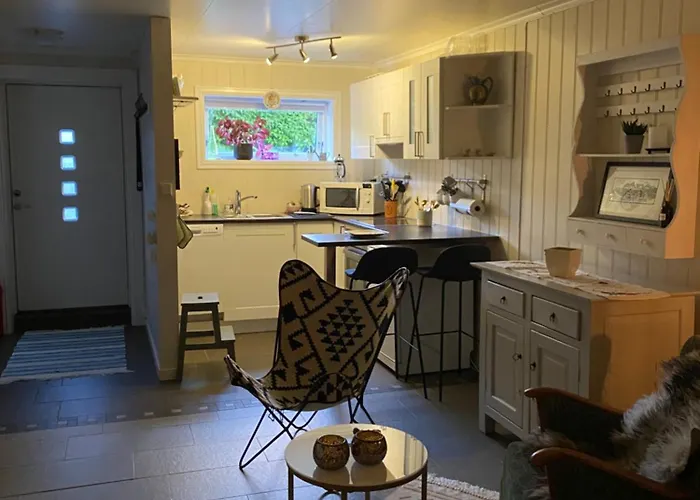 Studioleilighet Sentralt Pa Kjerringoy